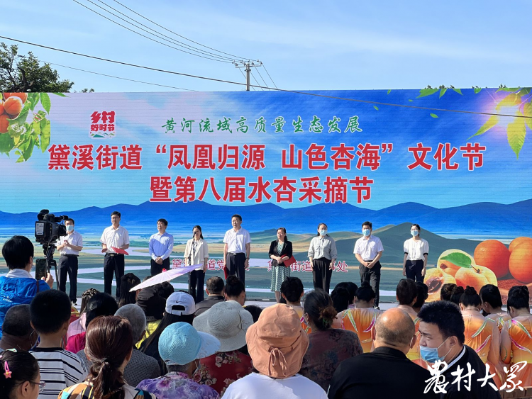 在美丽乡村享受“慢时光” 山东乡村旅游多彩多姿