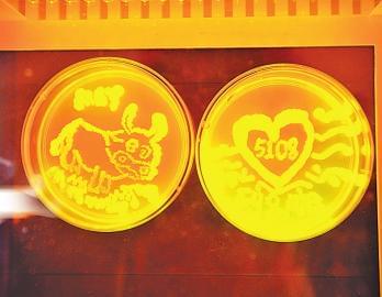 点击查看大图 教授和学生一起玩转科学