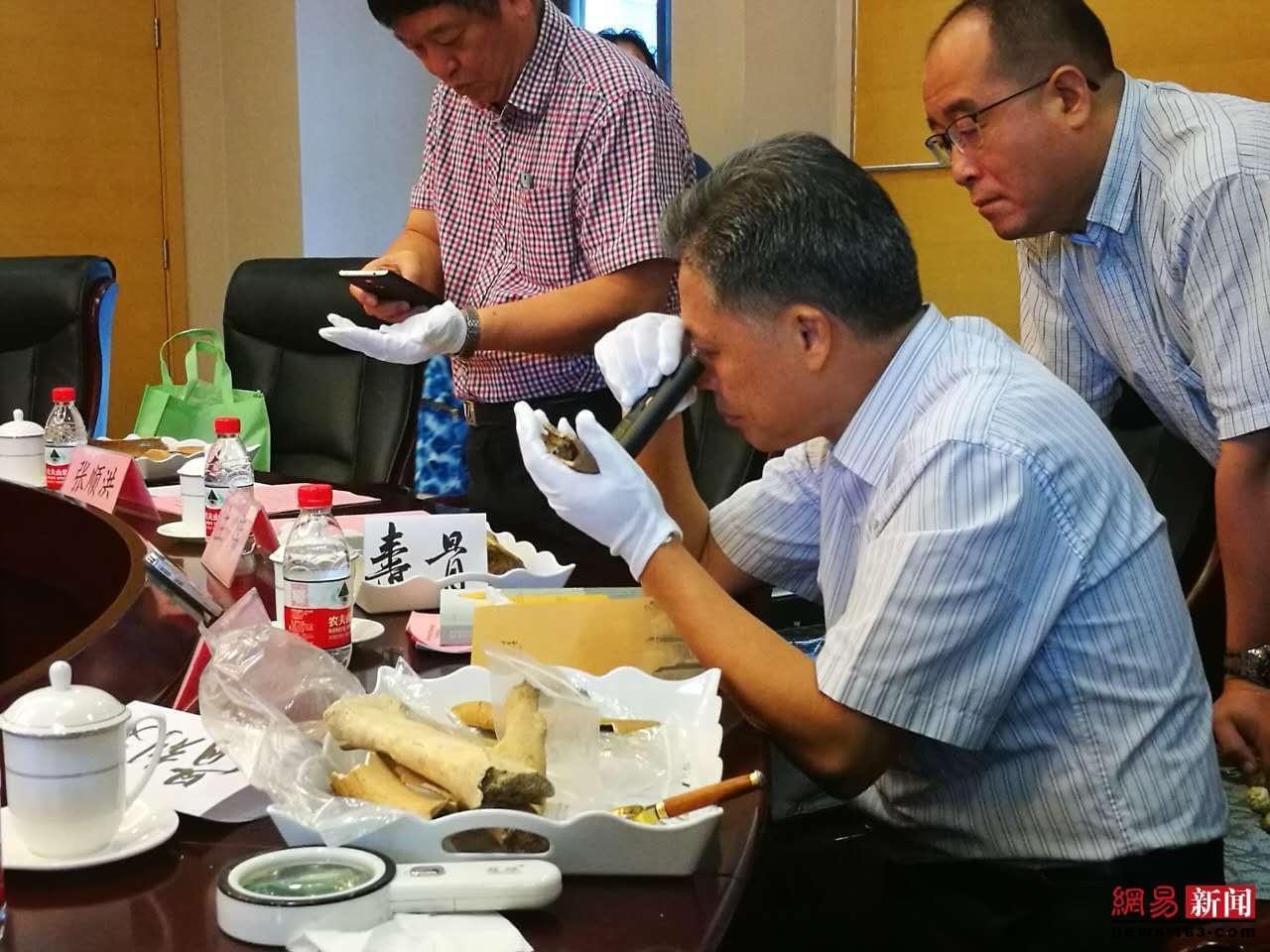 顶级专家扎堆山大“会诊”“骨刻文 ”