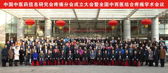 中国中医药信息研究会疼痛分会成立大会暨全国中西医结合学术大会圆满结束