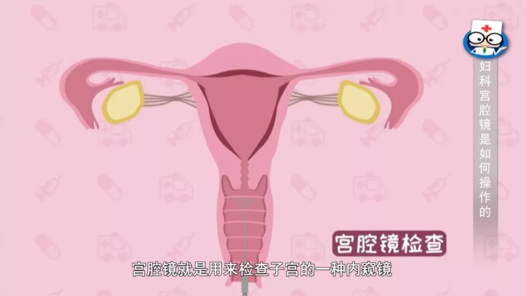 微信图片_20190418105031 微信图片_20190418105031