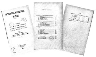 新发现的冯沅君博士学位论文《词的技法和历史》——兼论冯沅君的词学研究 新发现的冯沅君博士学位论文《词的技法和历史》——兼论冯沅君的词学研究