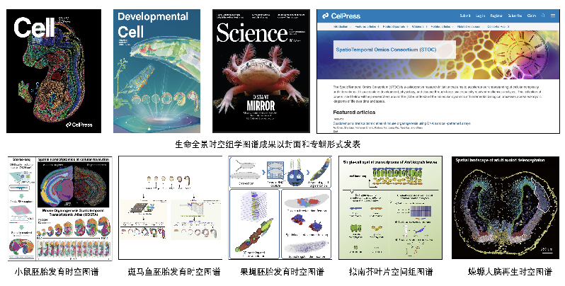 中国科协生命科学学会联合体公布2022年度中国生命科学十大进展 中国科协生命科学学会联合体公布2022年度中国生命科学十大进展