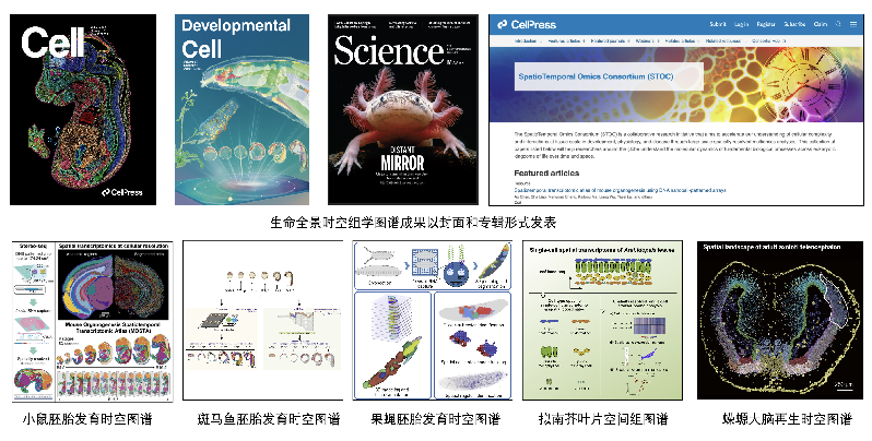 中国科协生命科学学会联合体公布2022年度中国生命科学十大进展