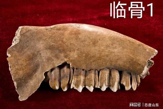 https://nimg.ws.126.net/?url=http%3A%2F%2Fdingyue.ws.126.net%2F2020%2F0615%2F70e6c692j00qby48e001bd000m800eup.jpg&thumbnail=690x2147483647&quality=75&type=jpg