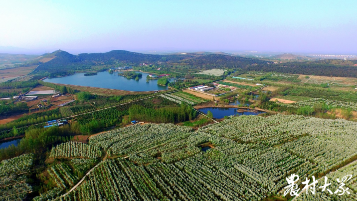 在美丽乡村享受“慢时光” 山东乡村旅游多彩多姿