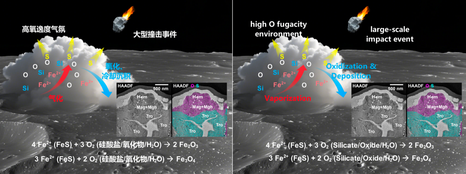 图3嫦娥六号样品中发现的铁氧化物成因示意图。图中表示了月球表面物质在大尺度撞击下气化,产生局部的高氧逸度气氛。高温环境使得陨硫铁(FeS)矿物脱硫,并在适当的温度条件(700~1000℃)下被高氧逸度的气氛氧化,形成了赤铁矿(α-Fe2O3)、磁赤铁矿(γ-Fe2O3)和磁铁矿(Fe3O4)。 图3嫦娥六号样品中发现的铁氧化物成因示意图。图中表示了月球表面物质在大尺度撞击下气化,产生局部的高氧逸度气氛。高温环境使得陨硫铁(FeS)矿物脱硫,并在适当的温度条件(700~1000℃)下被高氧逸度的气氛氧化,形成了赤铁矿(α-Fe2O3)、磁赤铁矿(γ-Fe2O3)和磁铁矿(Fe3O4)。