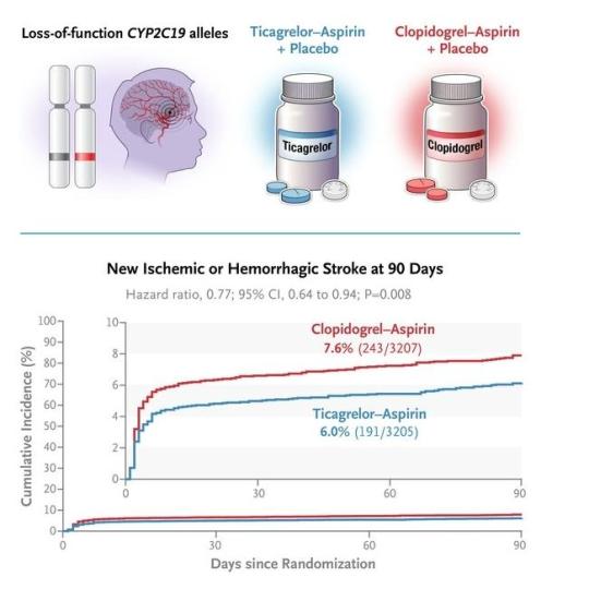 10-7携带CYP2C19功能缺失等位基因者应用替格瑞洛替代治疗方案的有效性。　中国科协生命科学学会联合体 供图