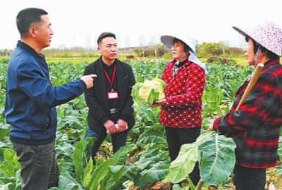 力戒形式主义官僚主义是重要政治任务 力戒形式主义官僚主义是重要政治任务