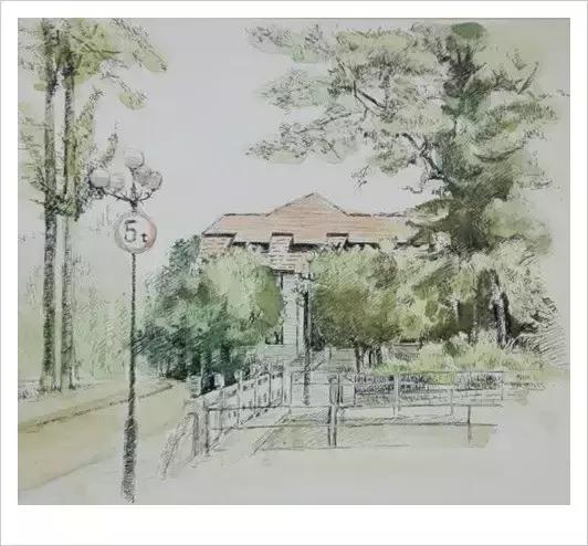 一位山大老师用中性笔画出山大老校的夏与冬 满满的都是回忆