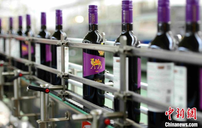 酒场陋习何时休？专家：应借鉴传统礼仪文化建构社交道德新规范