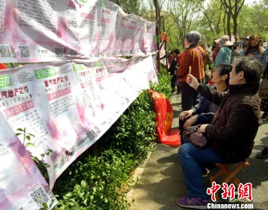 资料图：济南千佛山“三月三”相亲会，“银发相亲族”代替子女过来找对象。　赵晓　摄