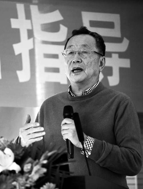 胡大一在河南讲课