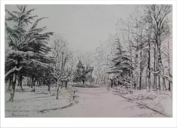 一位山大老师用中性笔画出山大老校的夏与冬 满满的都是回忆