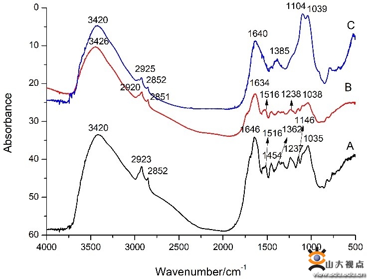 提前至少300年！世界最早茶叶“现身”山东