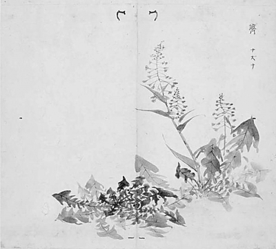 一流古典名著的合格整理本——读点校本《毛诗传笺》 一流古典名著的合格整理本——读点校本《毛诗传笺》