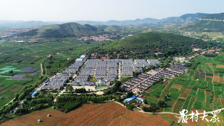 在美丽乡村享受“慢时光” 山东乡村旅游多彩多姿