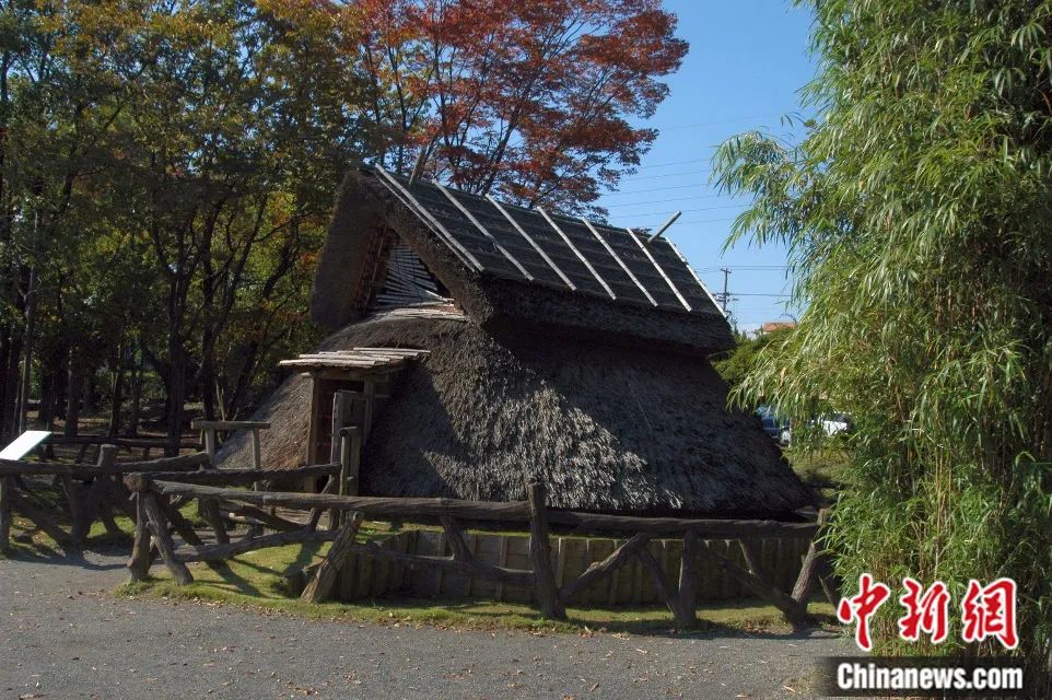 日本登吕的居住遗址复原。中新社发 孙东民 摄