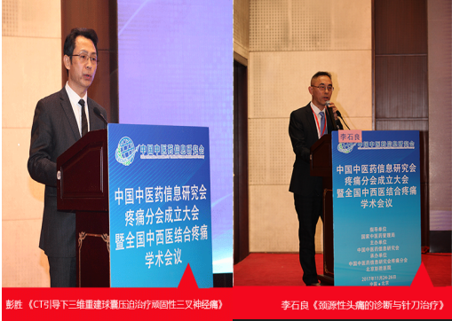 中国中医药信息研究会疼痛分会成立大会暨全国中西医结合学术大会圆满结束