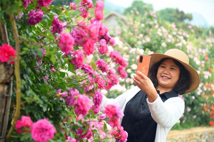 在美丽乡村享受“慢时光” 山东乡村旅游多彩多姿