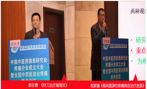 中国中医药信息研究会疼痛分会成立大会暨全国中西医结合学术大会圆满结束